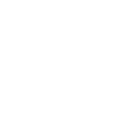 zalo-icon